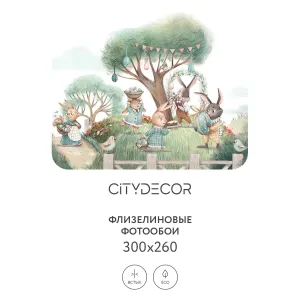 Фотообои рулонные Citydecor Детская 375 на флизелиновой основе 300x260 см