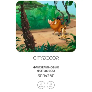 Фотообои рулонные Citydecor Детская 376 на флизелиновой основе 300x260 см