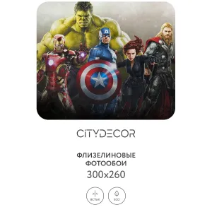 Фотообои рулонные Citydecor Детская 378 на флизелиновой основе 300x260 см