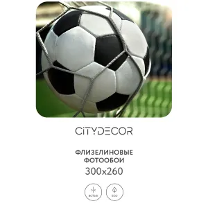 Фотообои рулонные Citydecor Детская 379 на флизелиновой основе 300x260 см