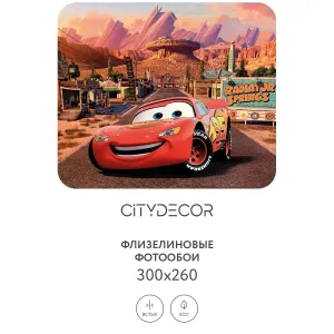 Фотообои рулонные Citydecor Детская 387 на флизелиновой основе 300x260 см