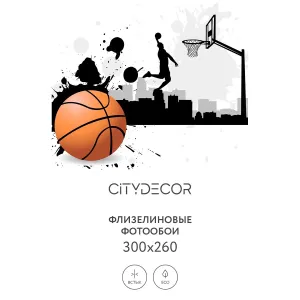 Фотообои рулонные Citydecor Детская 390 на флизелиновой основе 300x260 см Фотообои рулонные Citydecor Детская 390 на флизелиновой основе 300x260 см