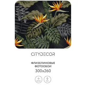 Фотообои рулонные Citydecor Цветы и Растения 122 на флизелиновой основе 300x260 см