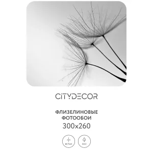 Фотообои рулонные Citydecor Цветы и Растения 138 на флизелиновой основе 300x260 см