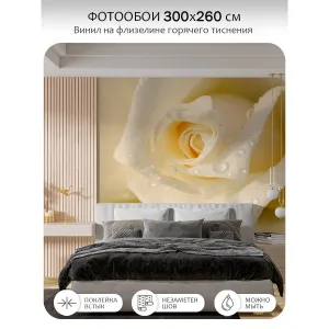 Фотообои рулонные Citydecor Цветы и Растения 65 на флизелиновой основе 300x260 см