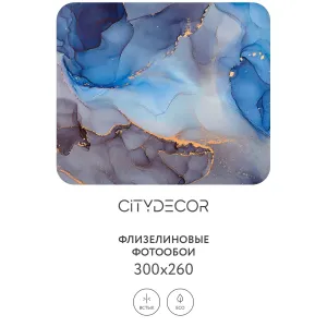 Фотообои рулонные Citydecor Флюид Арт 67 на флизелиновой основе 300x260 см