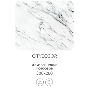 Фотообои рулонные Citydecor Флюид Арт 69 на флизелиновой основе 300x260 см