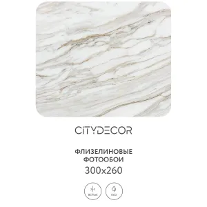 Фотообои рулонные Citydecor Флюид Арт 74 на флизелиновой основе 300x260 см