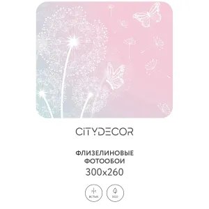Фотообои рулонные Citydecor Невесомость 1 на флизелиновой основе 300x260 см