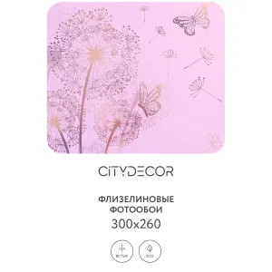 Фотообои рулонные Citydecor Невесомость 11 на флизелиновой основе 300x260 см