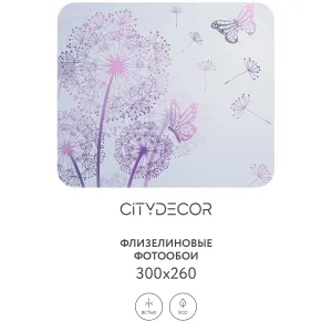 Фотообои рулонные Citydecor Невесомость 12 на флизелиновой основе 300x260 см