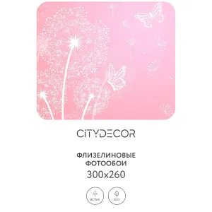 Фотообои рулонные Citydecor Невесомость 13 на флизелиновой основе 300x260 см