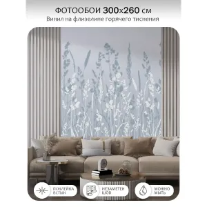 Фотообои рулонные Citydecor Невесомость 17 на флизелиновой основе 300x260 см