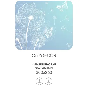 Фотообои рулонные Citydecor Невесомость 2 на флизелиновой основе 300x260 см