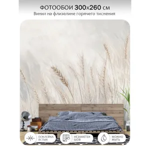 Фотообои рулонные Citydecor Невесомость 45 на флизелиновой основе 300x260 см