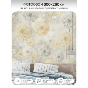 Фотообои рулонные Citydecor Невесомость 47 на флизелиновой основе 300x260 см