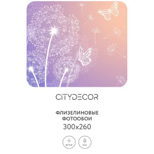Фотообои рулонные Citydecor Невесомость 5 на флизелиновой основе 300x260 см