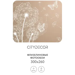 Фотообои рулонные Citydecor Невесомость 7 на флизелиновой основе 300x260 см