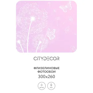 Фотообои рулонные Citydecor Невесомость 8 на флизелиновой основе 300x260 см