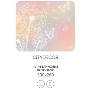 Фотообои рулонные Citydecor Невесомость 9 на флизелиновой основе 300x260 см