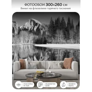 Фотообои рулонные Citydecor Природа 146 на флизелиновой основе 300x260 см