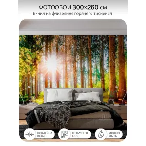 Фотообои рулонные Citydecor Природа 149 на флизелиновой основе 300x260 см