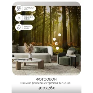 Фотообои рулонные Citydecor Природа 8 на флизелиновой основе 300x260 см