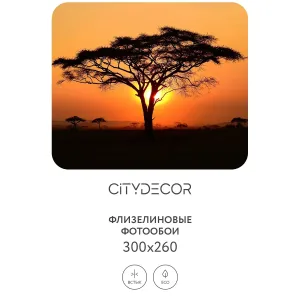 Фотообои рулонные Citydecor Природа 94 на флизелиновой основе 300x260 см