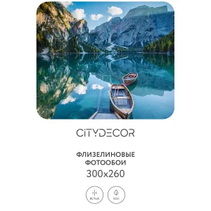 Фотообои рулонные Citydecor Природа 95 на флизелиновой основе 300x260 см