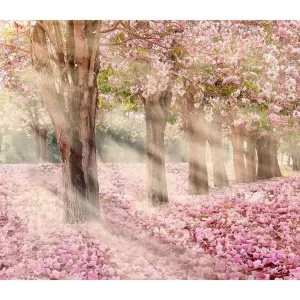 Фотообои рулонные Citydecor Сказочная природа 5 на флизелиновой основе 300x260 см