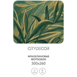 Дизайнерские фотообои рулонные Citydecor Sunset 14 на флизелиновой основе 300x260 см