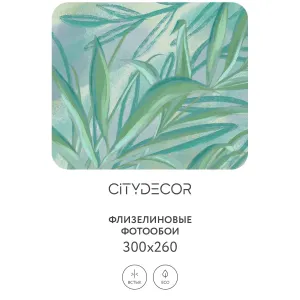 Дизайнерские фотообои рулонные Citydecor Sunset 20 на флизелиновой основе 300x260 см