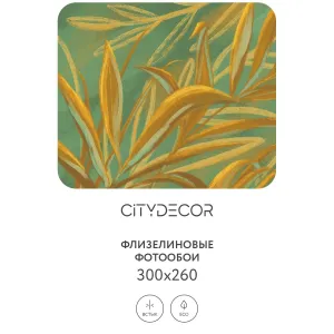 Дизайнерские фотообои рулонные Citydecor Sunset 21 на флизелиновой основе 300x260 см