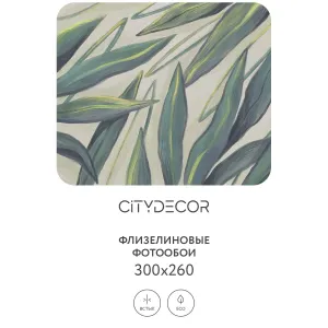 Дизайнерские фотообои рулонные Citydecor Sunset 23 на флизелиновой основе 300x260 см