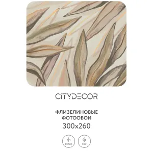 Дизайнерские фотообои рулонные Citydecor Sunset 25 на флизелиновой основе 300x260 см