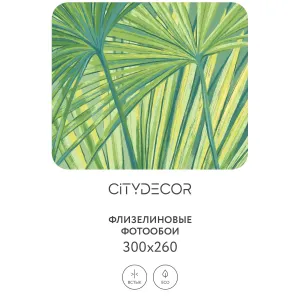 Дизайнерские фотообои рулонные Citydecor Sunset 30 на флизелиновой основе 300x260 см
