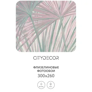 Дизайнерские фотообои рулонные Citydecor Sunset 32 на флизелиновой основе 300x260 см