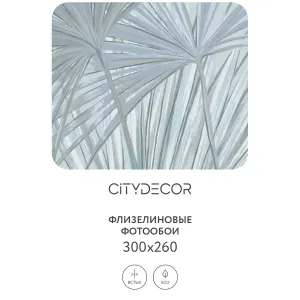 Дизайнерские фотообои рулонные Citydecor Sunset 34 на флизелиновой основе 300x260 см