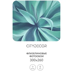 Дизайнерские фотообои рулонные Citydecor Sunset 38 на флизелиновой основе 300x260 см