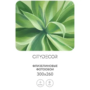 Дизайнерские фотообои рулонные Citydecor Sunset 39 на флизелиновой основе 300x260 см