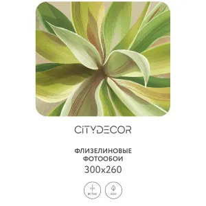 Дизайнерские фотообои рулонные Citydecor Sunset 42 на флизелиновой основе 300x260 см