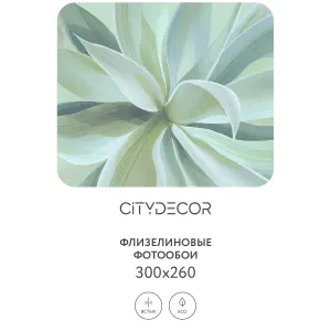 Дизайнерские фотообои рулонные Citydecor Sunset 43 на флизелиновой основе 300x260 см