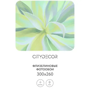 Дизайнерские фотообои рулонные Citydecor Sunset 45 на флизелиновой основе 300x260 см