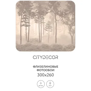 Дизайнерские фотообои рулонные Citydecor Таинственный лес 10 на флизелиновой основе 300x260 см