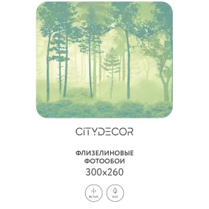Дизайнерские фотообои рулонные Citydecor Таинственный лес 11 на флизелиновой основе 300x260 см