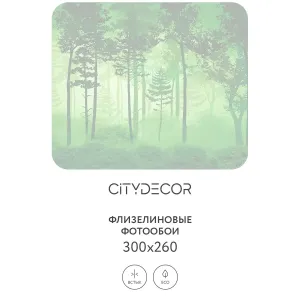Дизайнерские фотообои рулонные Citydecor Таинственный лес 12 на флизелиновой основе 300x260 см