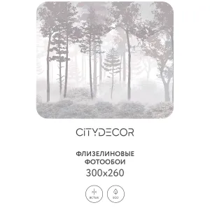 Дизайнерские фотообои рулонные Citydecor Таинственный лес 15 на флизелиновой основе 300x260 см