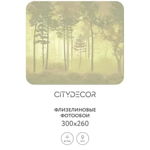 Дизайнерские фотообои рулонные Citydecor Таинственный лес 7 на флизелиновой основе 300x260 см