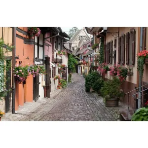 Фотообои рулонные Citydecor Эльзас на флизелиновой основе 400x254 см