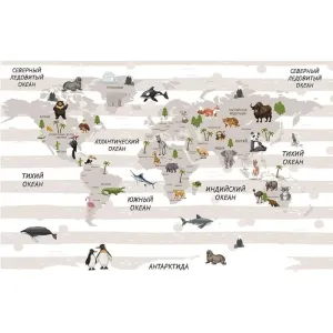 Фотообои рулонные Citydecor Карта мира на русском 4 на флизелиновой основе 400x254 см
